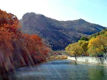 2025芳草地新澳门网站：释义、形式及防诈措施